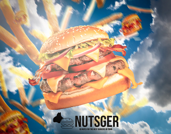Nutsger | Brand Identity