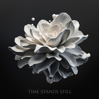 Kieran Brahms, TaigaSoundProd - Time Stands Still