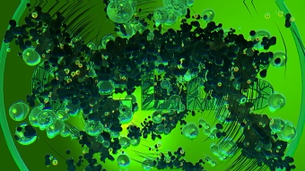 Cells