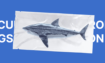 Website for a company producing vacuum and shrink bags