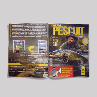 Magazine design