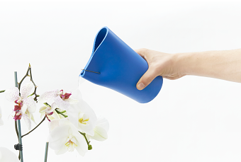 Mizu, Indoor Watering Can
