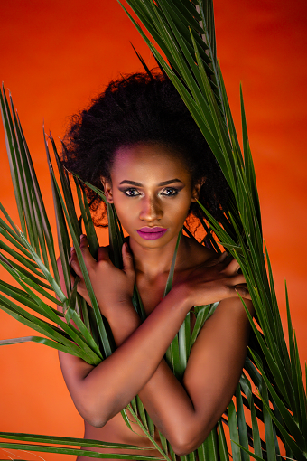STUDIO PORTRAITS PALM TREE LEAVES