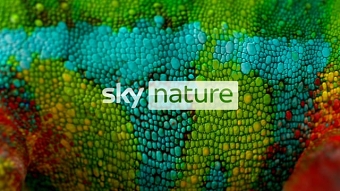 Sky Nature