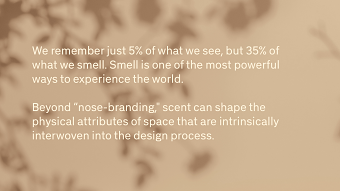 Aromise - Identity Design