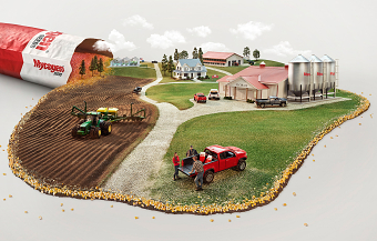 Mycogen Seeds