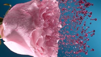 Dirt is Good -  MOA Fragrance