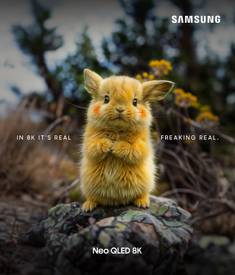 Neo QLED 8K - Real resolution.