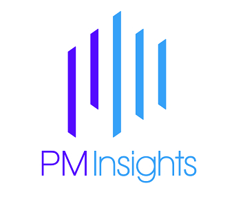 PM Insights Logo Identity
