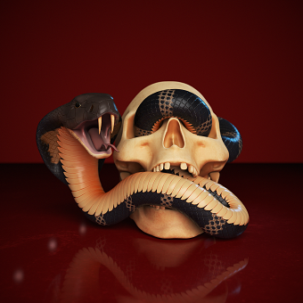 Snake in skull