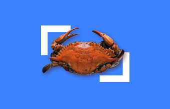Collectiv Food brand