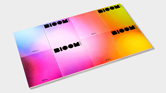 Bloom Season Book
