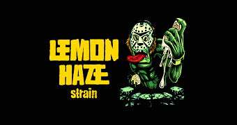 Lemon Haze Packaging Concept