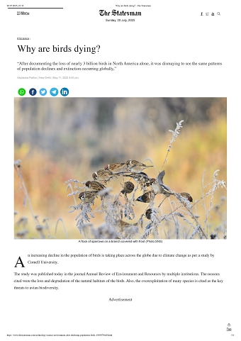 Why are birds dying?