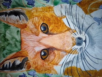 Fox in bluebells