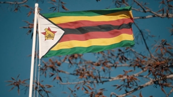Zim Is Now
