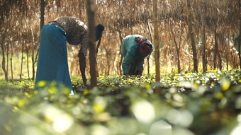 Going Big in Ethiopia 2019