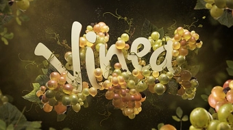 CGI/3D TYPOGRAPHY/PRODUCT DESIGN - Vinea