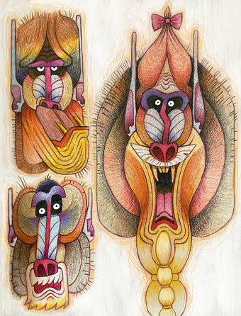 Mandrill Warriors