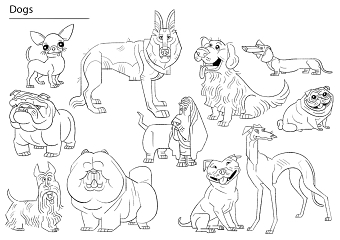 Dogs