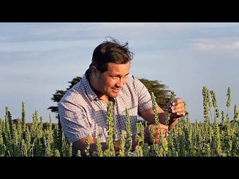 Chia Seeds From Africa's Best Farms