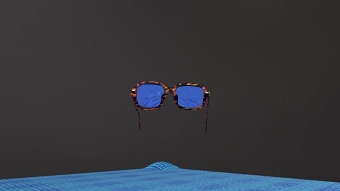 SunGlasses