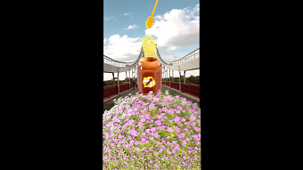 Beelab Honey VFX Animation — Urban Nature Flow