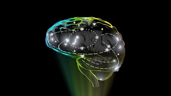 Brain 3d motion design