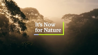 Business for Nature series