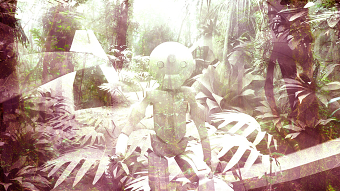 Gaia II robot