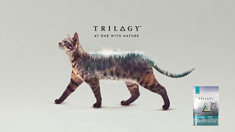 Trilogy
