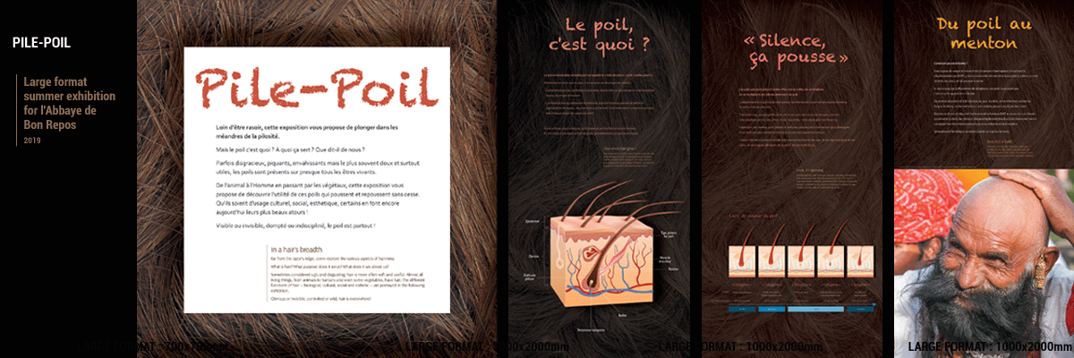 Pile-Poil (Remote)