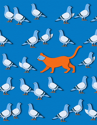 Cat Among the Pigeons