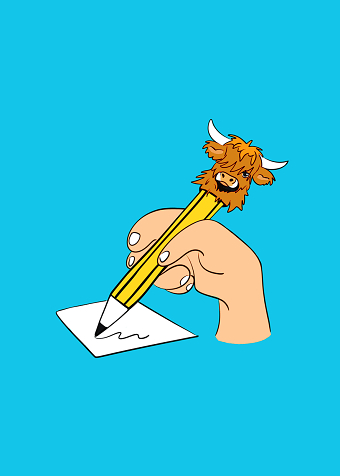 Highland Coo