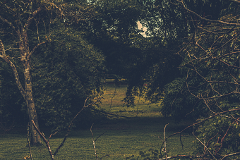 WILDERWAY Nature Stays Unlocked