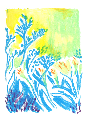 Flowers - Oil Pastel