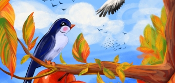 Children's book illustrations