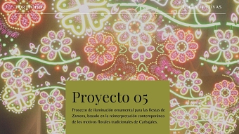 Proyecto iluminación ornamental: El flolclore