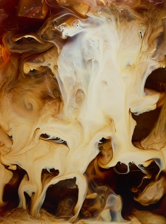 Horizon Organic. Warm, Polished Visuals for a Brand Built on Trust.