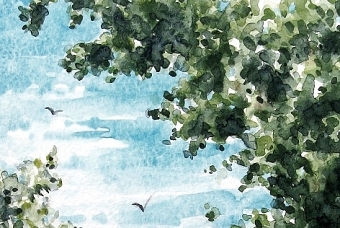 Smurfit 'sustainability' watercolour illustration