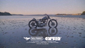 EL SOLITARIO x ORNAMENTAL CONIFER