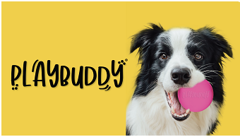 PLAYBUDDY