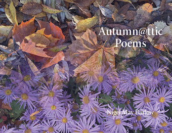 AutumnAttic Poems