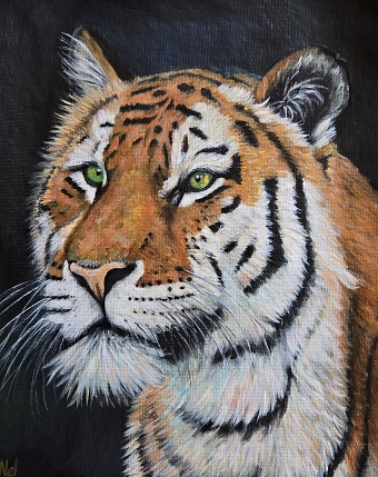 Wildlife & Animal Portraits — Traditional Painting