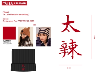 TL0002B - TAI LA (IN MANDARIN) - SQUARE (Cat Ear) BLACK BEANIES