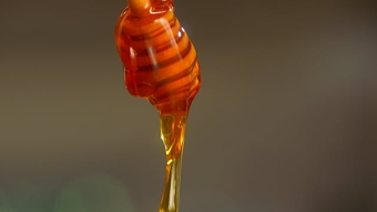 Nando's Honey & Soy Launch Video
