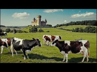 Leches El Castillo