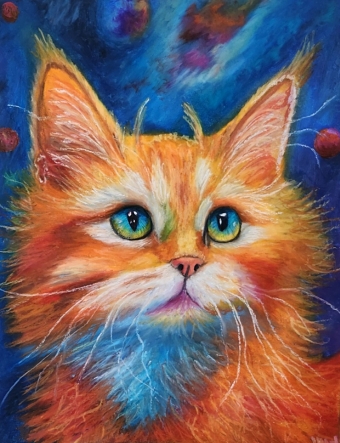 Pet Portraits — Character, Colour & Connection