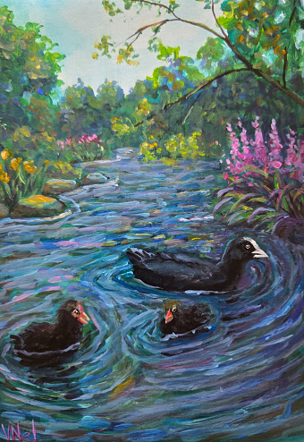 Feathered Families – Nature Illustration Collection