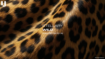 Wild